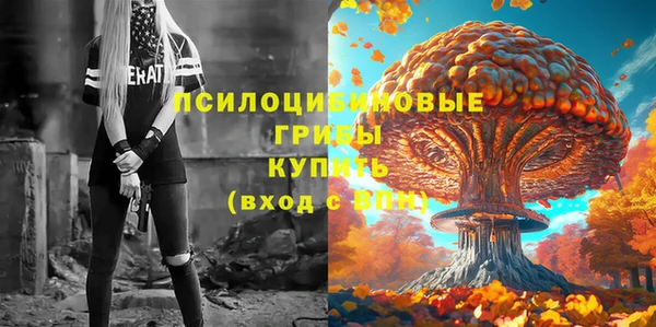 спайс Алексеевка