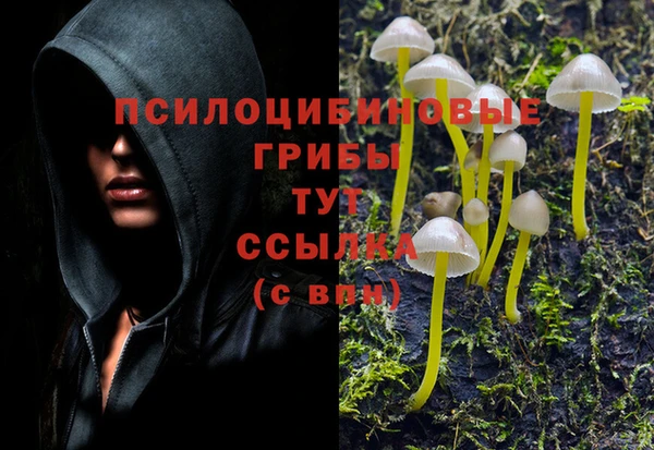 спайс Алексеевка