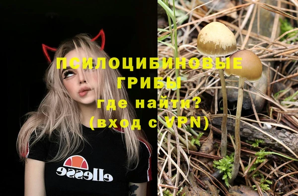 молекула духа Армянск