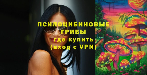 спайс Алексеевка